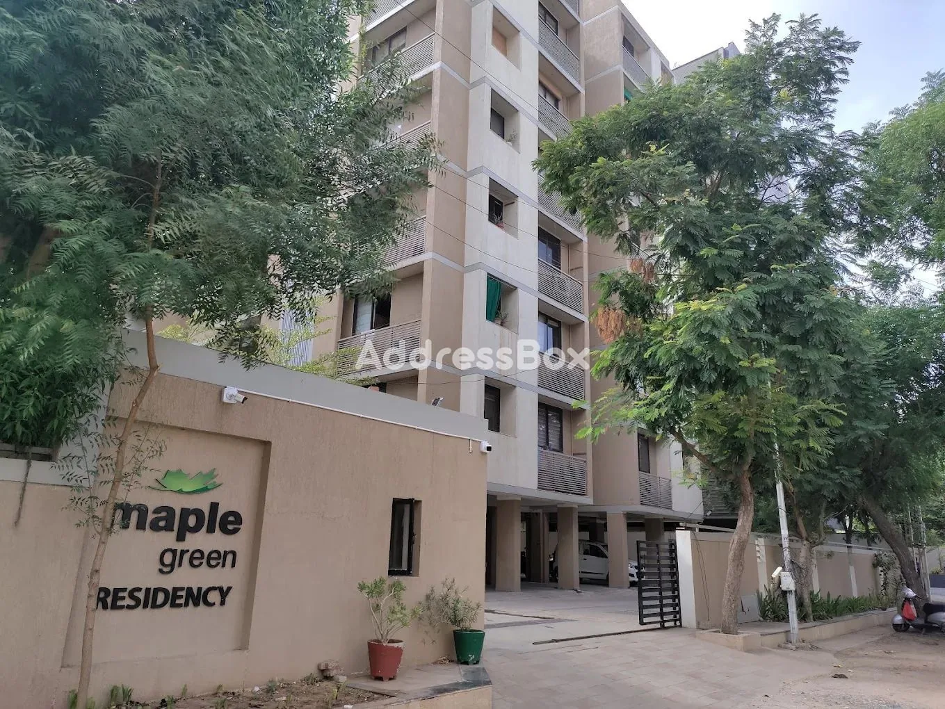 Maple Green Residency photo