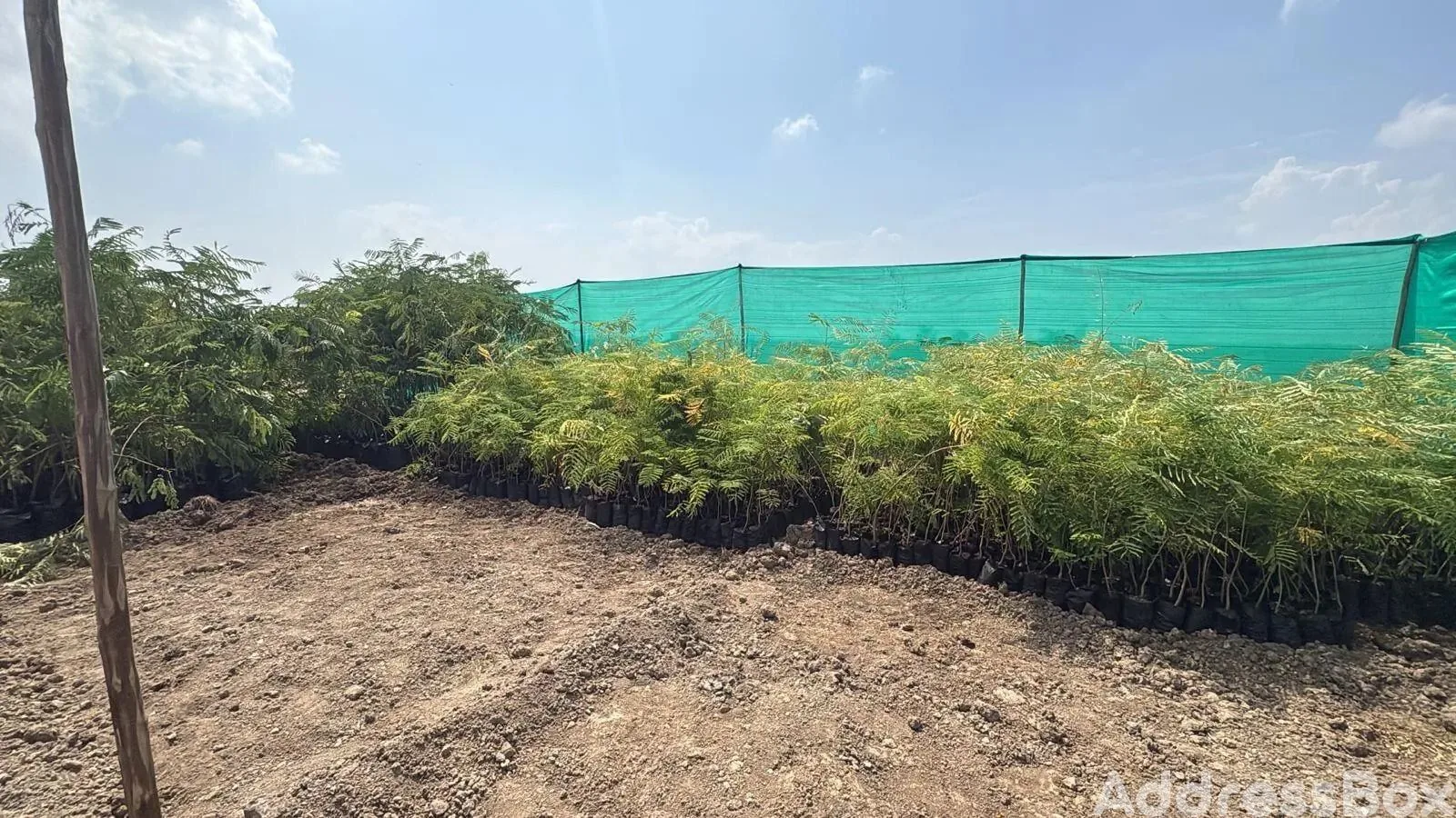 Property in Dholera | Ahmedabad