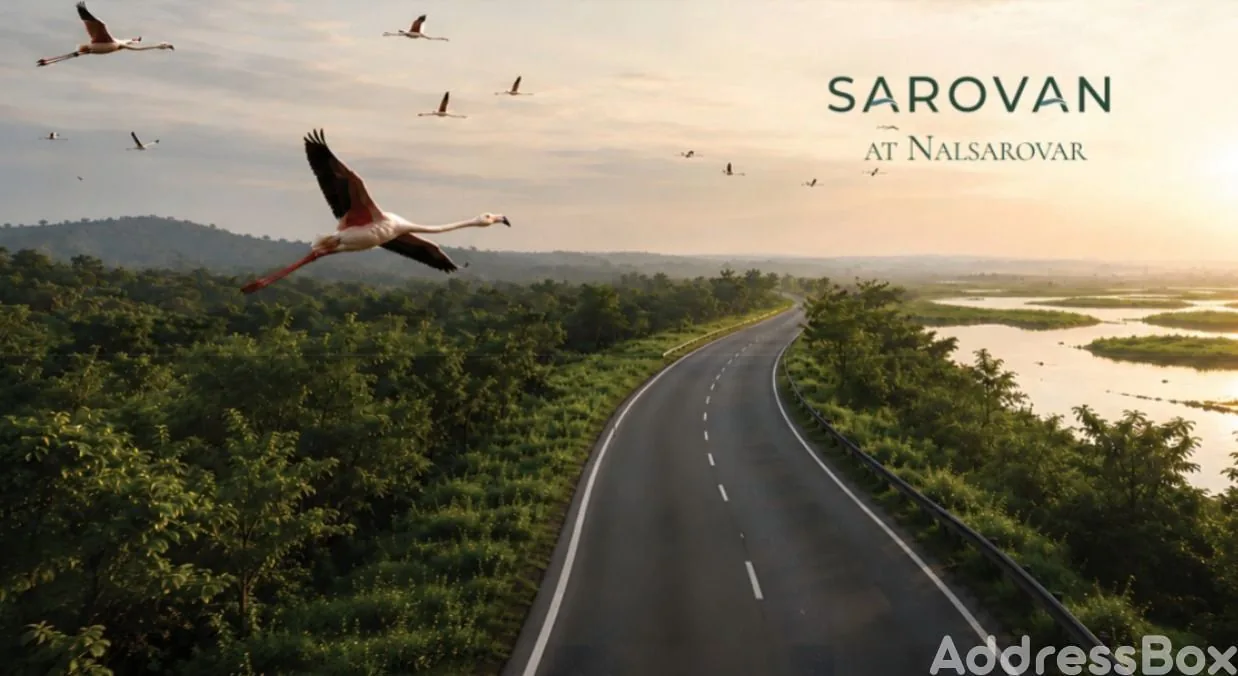 Sarovan photo