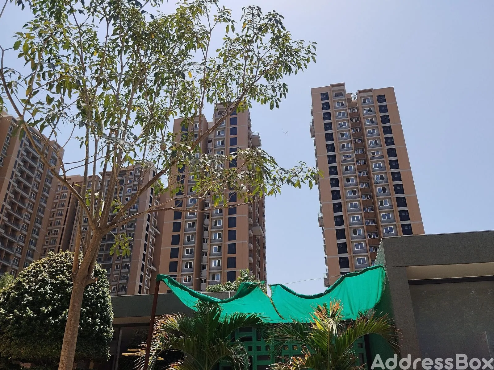 Property in Shela | Ahmedabad