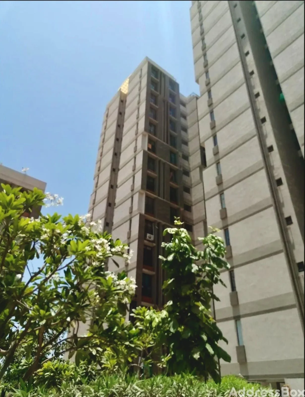 Property in Shela | Ahmedabad