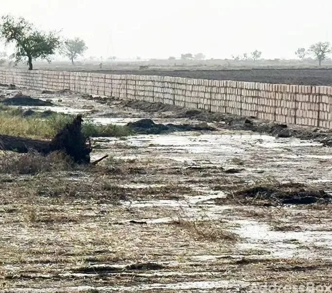 Property in Dholera | Ahmedabad