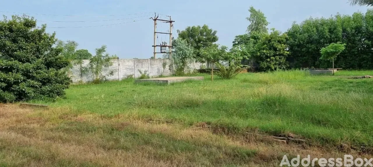 Property in Vanch | Ahmedabad