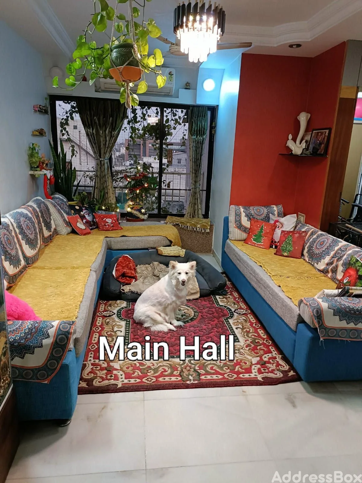 SHANTANU APARTMENT photo