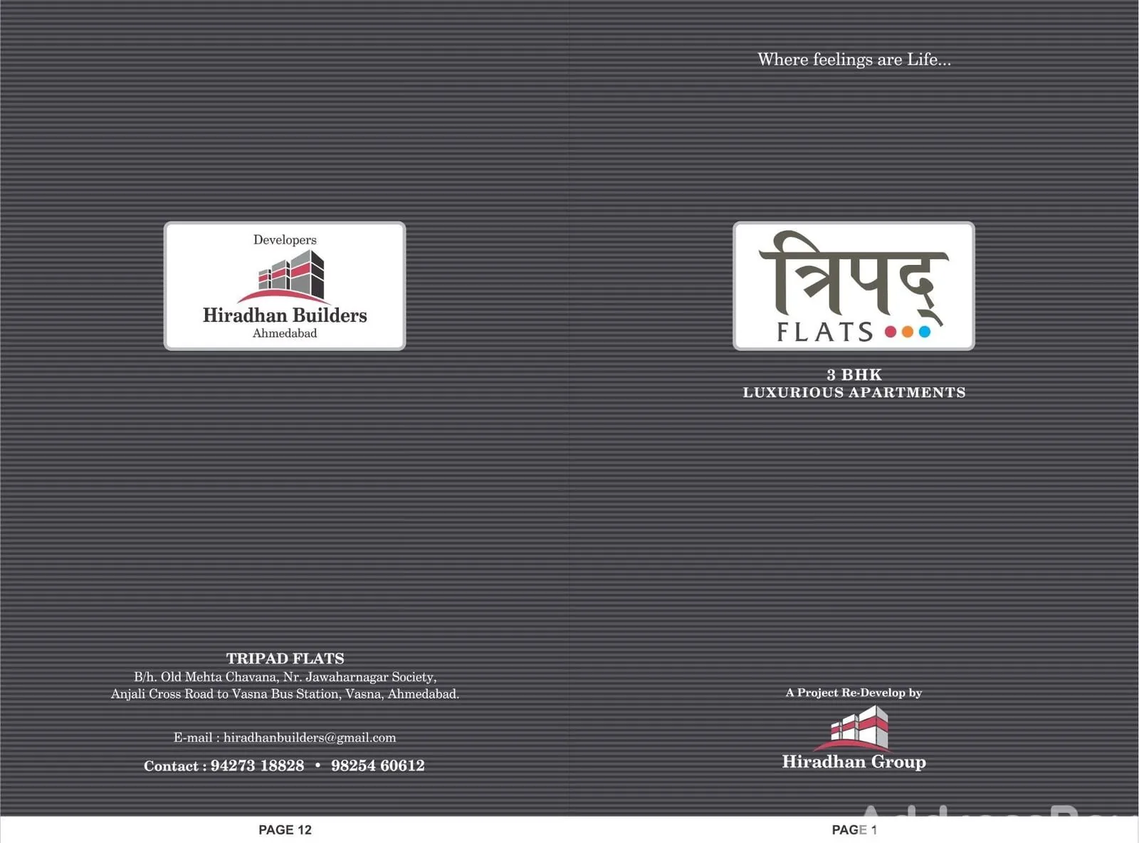 TRIPAD FLAT Others