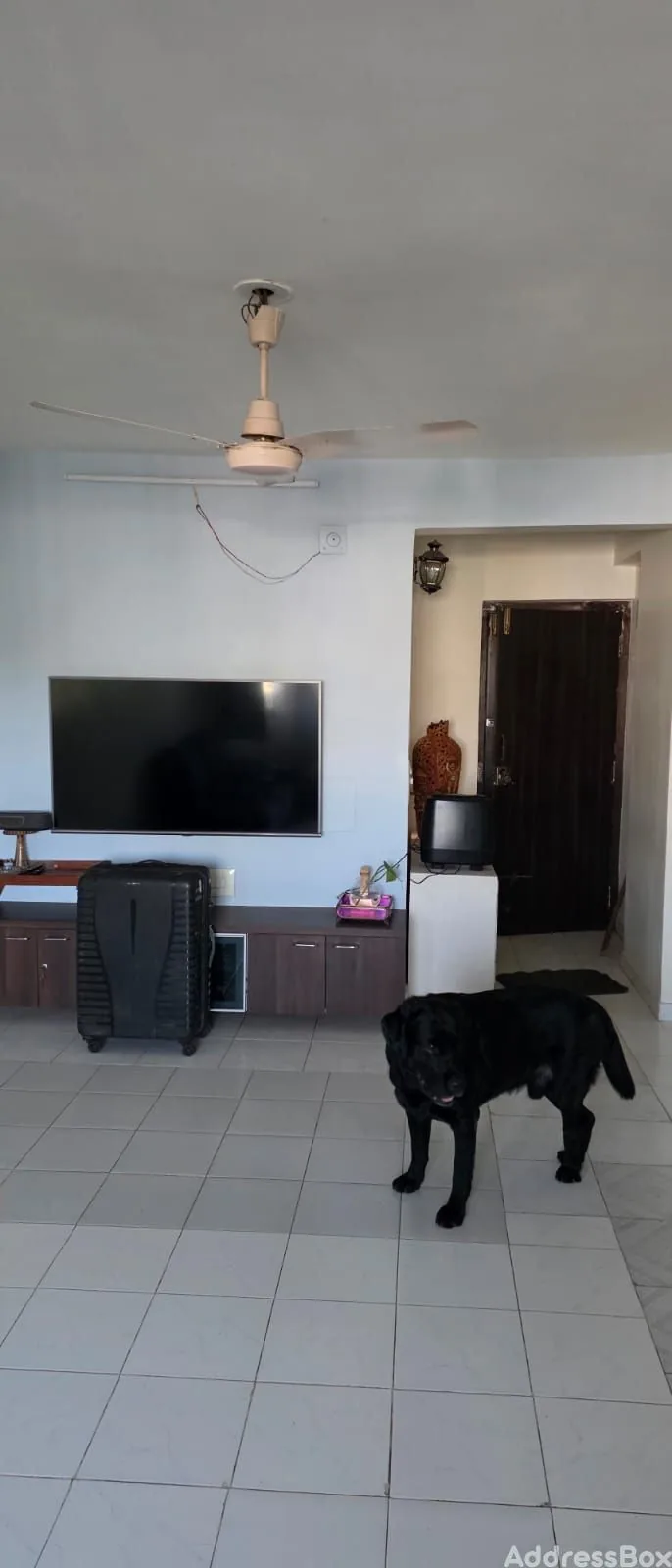 Property in Ambawadi | Ahmedabad