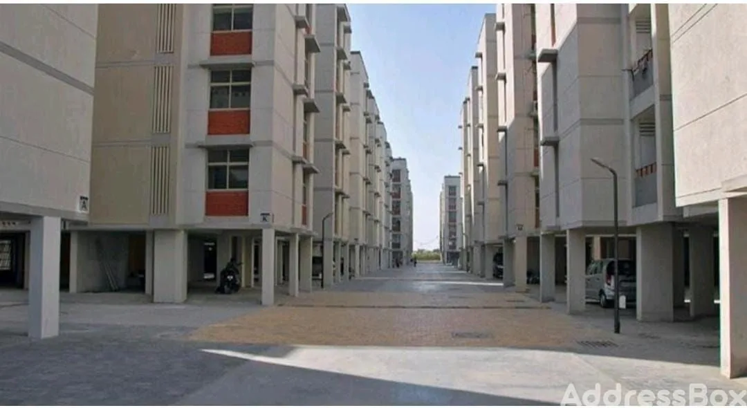 Venus Parkland photo