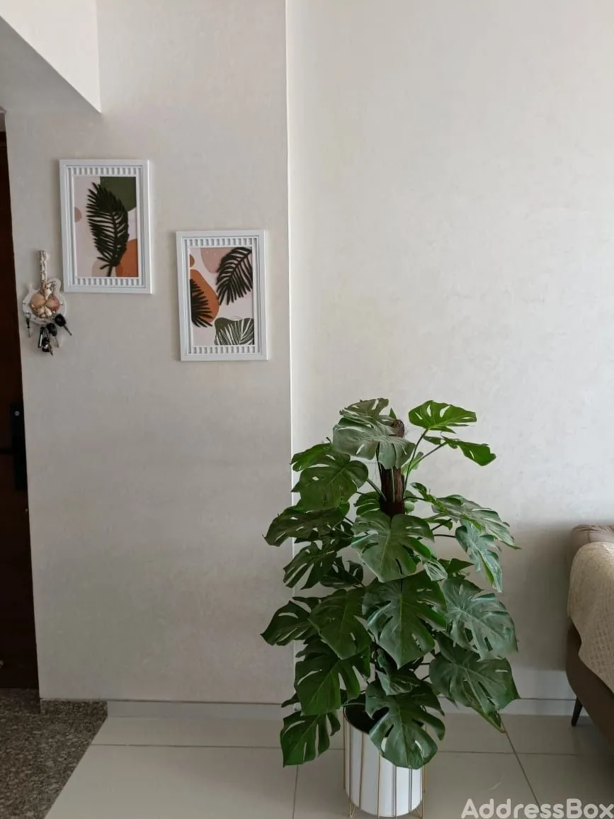 Property in Bhadaj | Ahmedabad