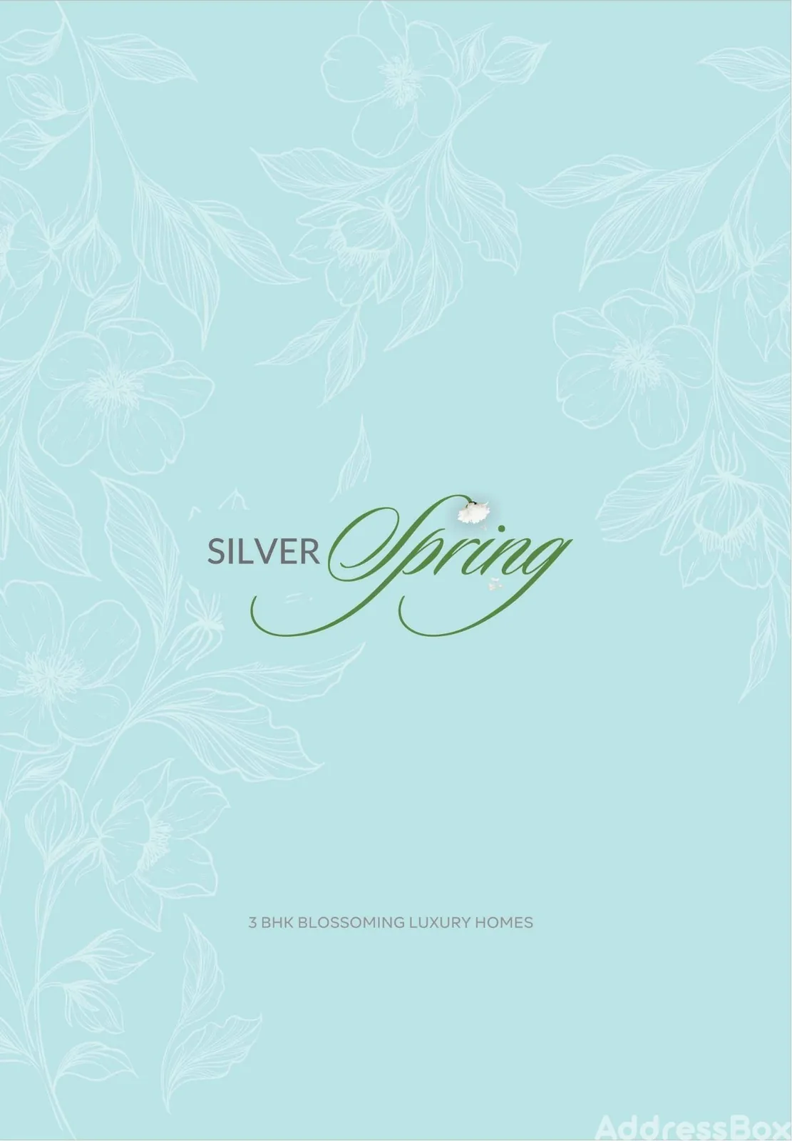 SILVER SPRING Others