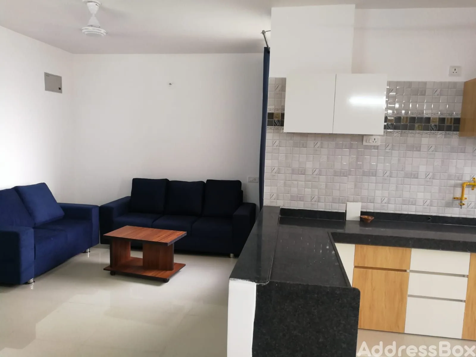 Saujanya Apartments photo