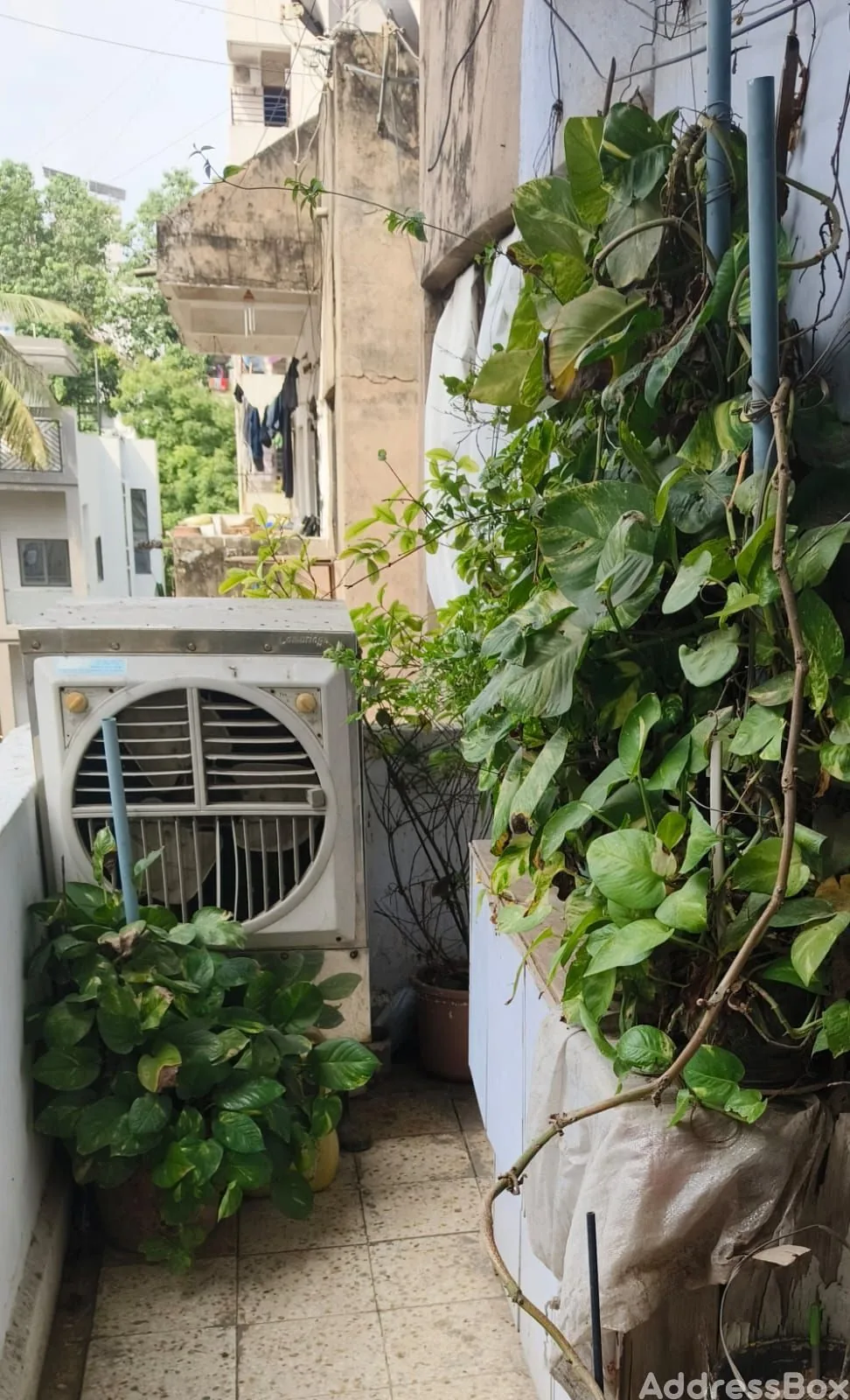 Property in Paldi | Ahmedabad