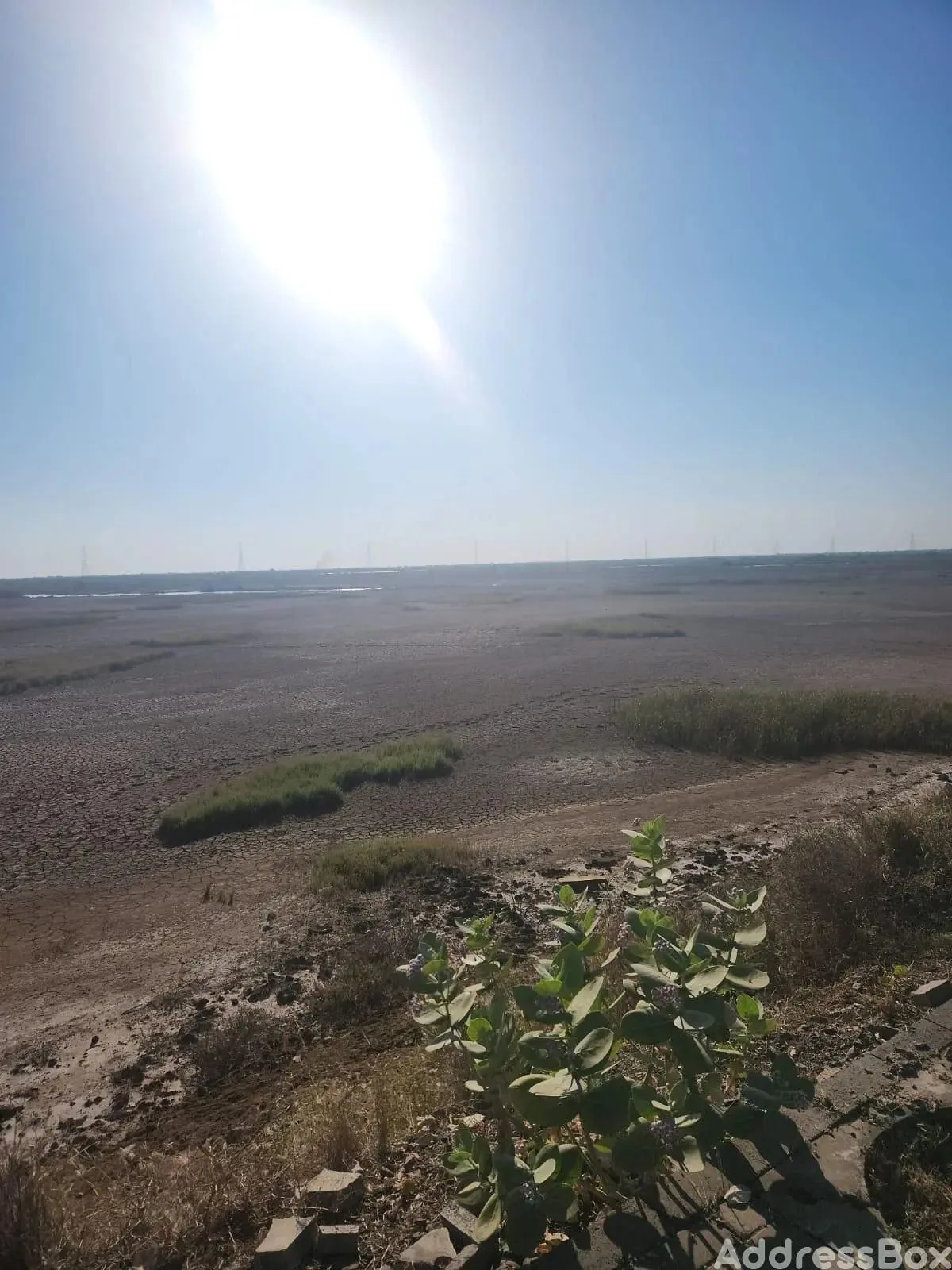 Property in Dholera | Ahmedabad