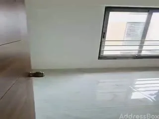 Property in ELLISBRIDGE | Ahmedabad