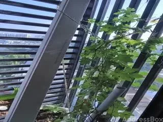 Property in Paldi | Ahmedabad