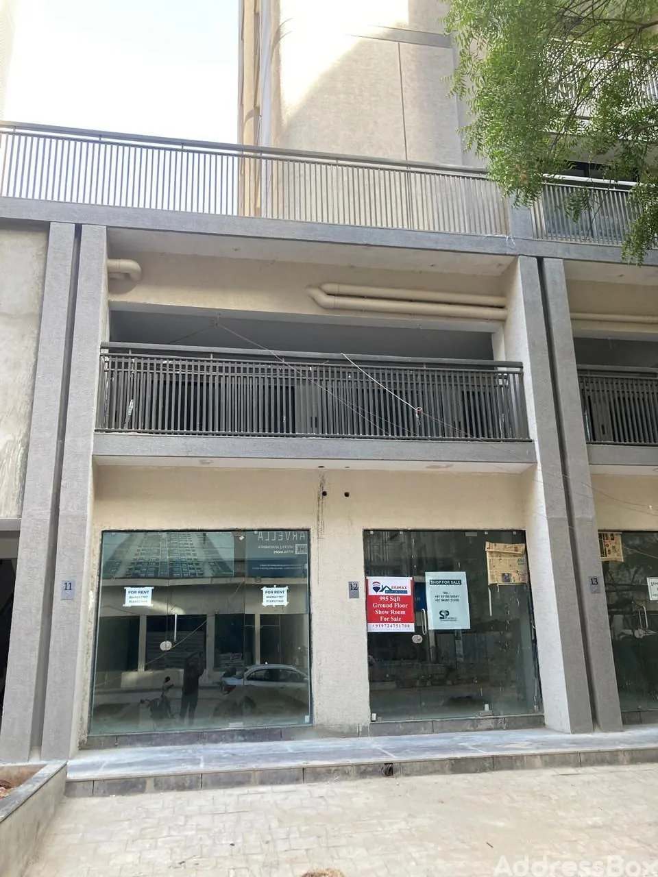 ELENZA GREENFIELD photo