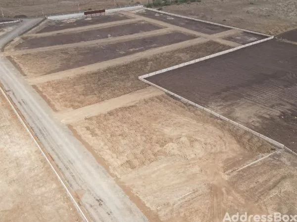 Property in Dholera | Ahmedabad