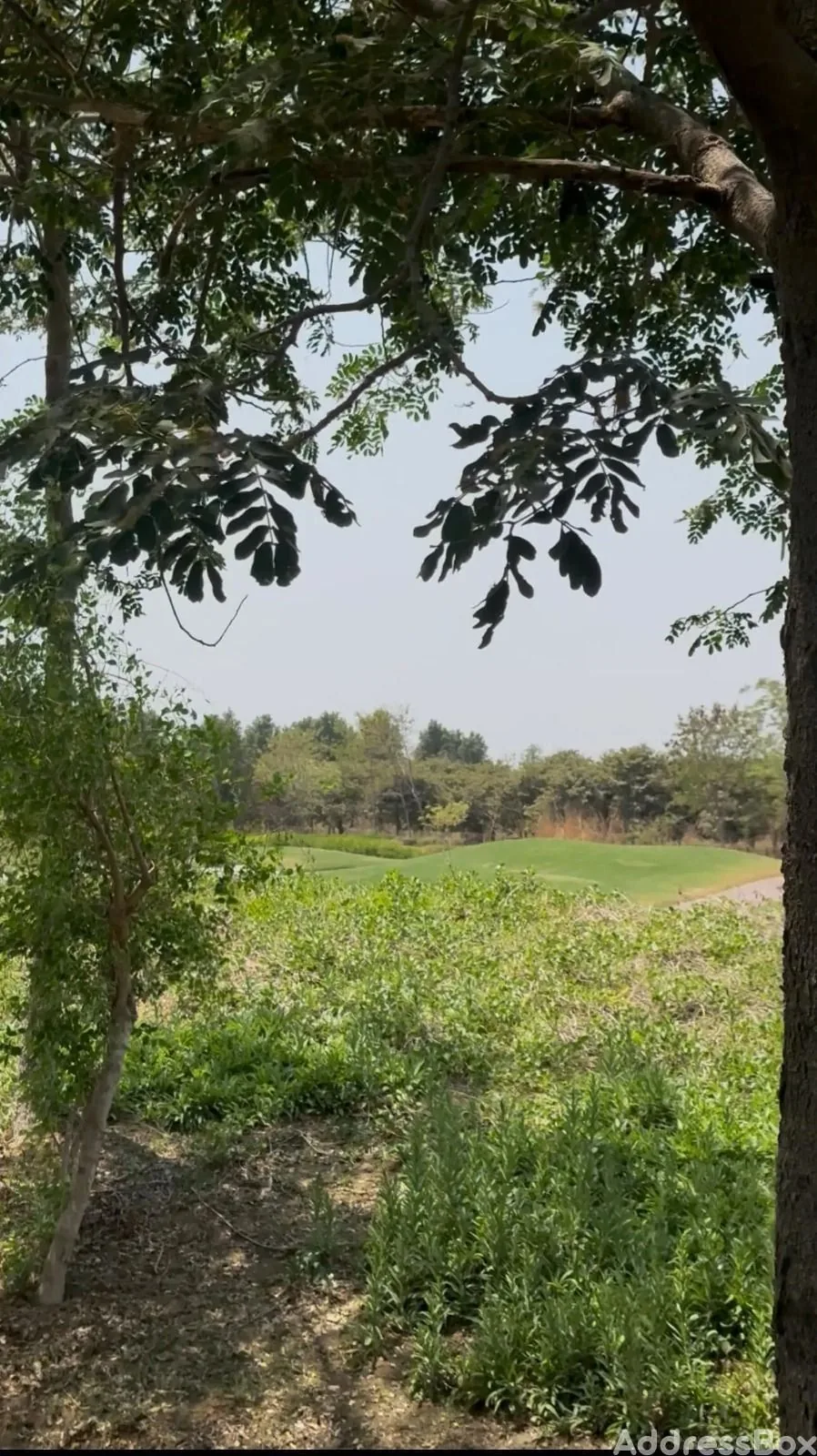 Property in Thol | Ahmedabad