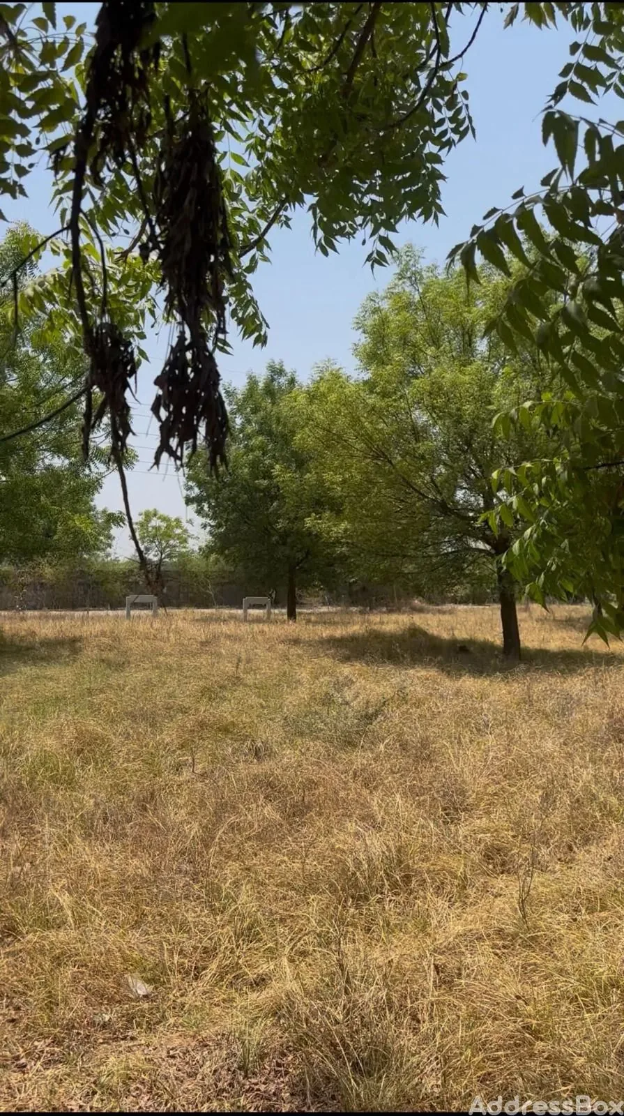 Property in Thol | Ahmedabad