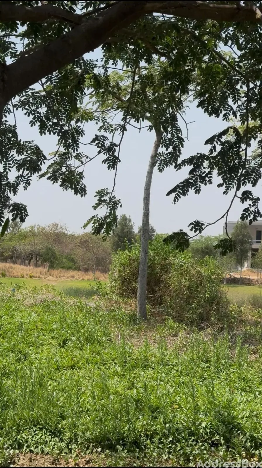 Property in Thol | Ahmedabad