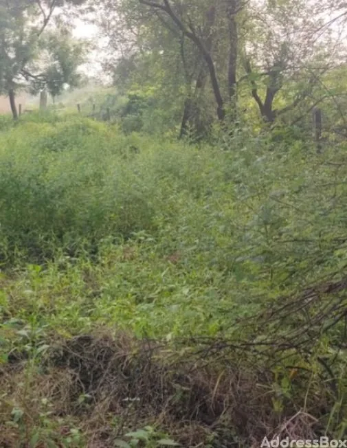 Property in Vanch | Ahmedabad