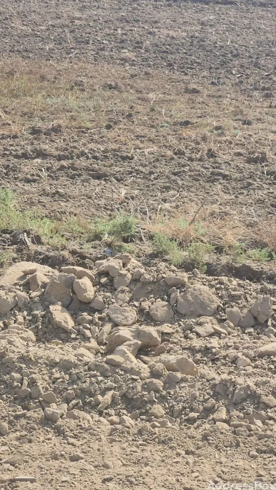 Property in Dholera | Ahmedabad