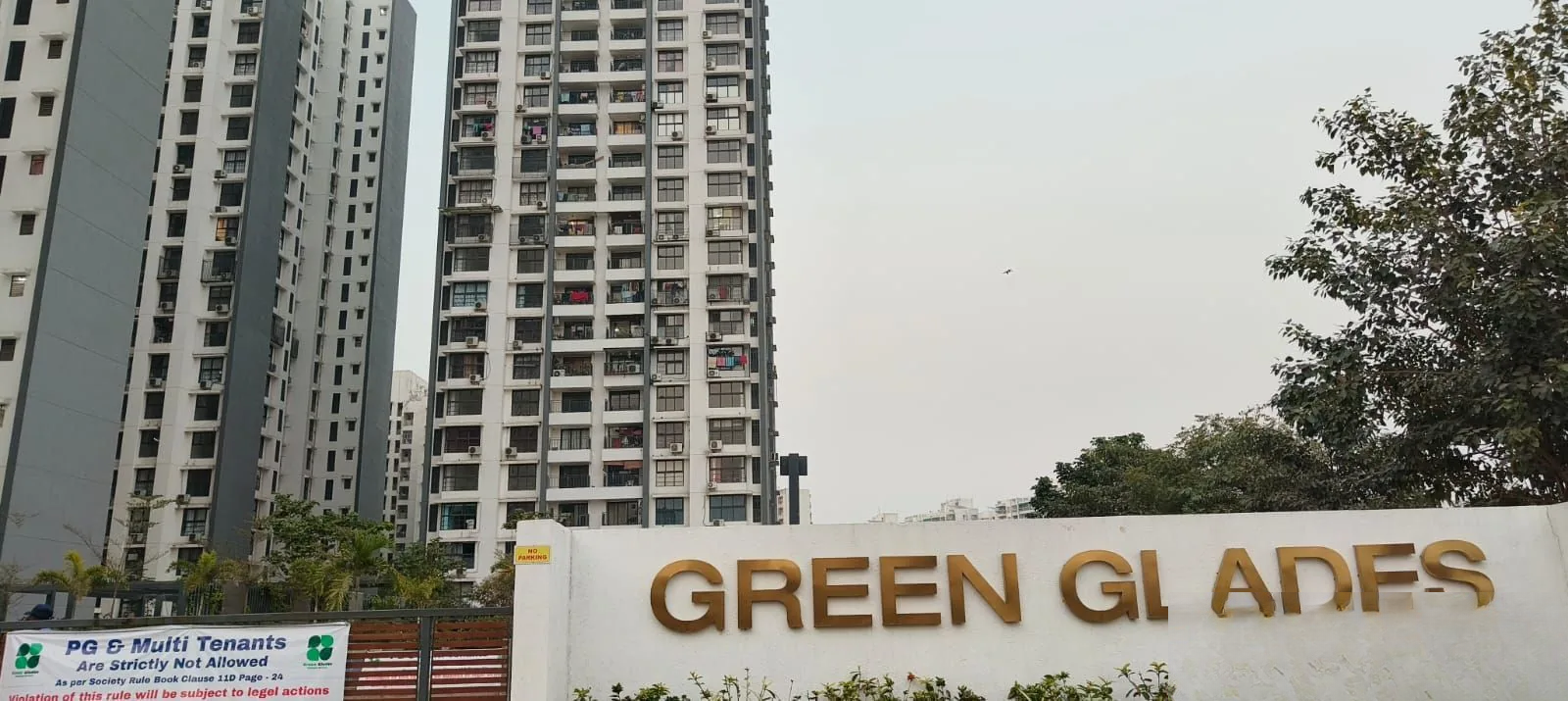 Green Glades photo