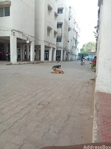 Property in Geratpur | Ahmedabad