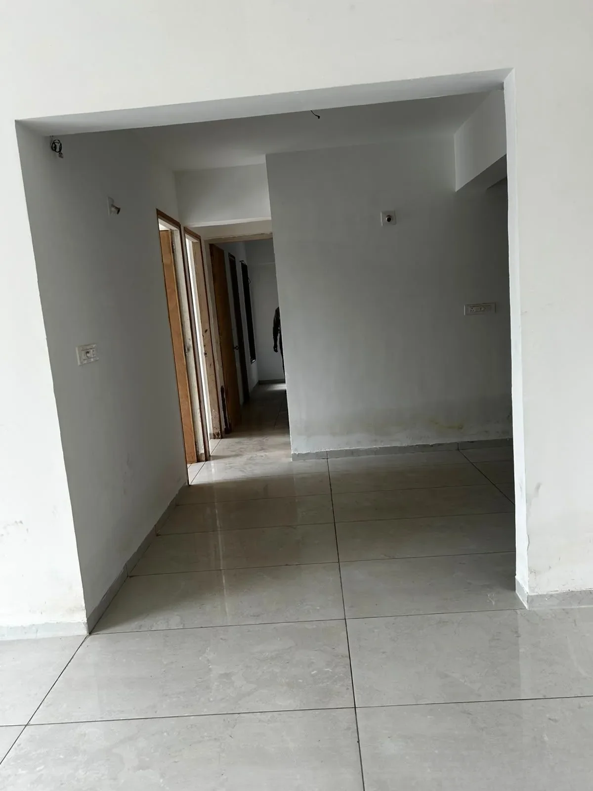 SAMANVAY SCINTILLA photo