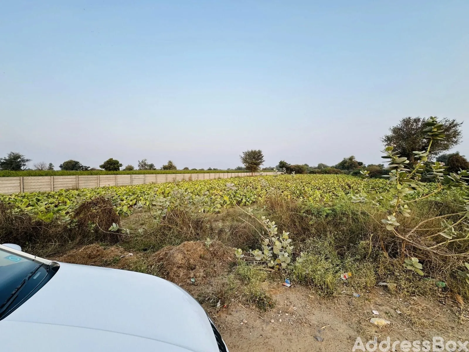 Property in Sanand | Ahmedabad