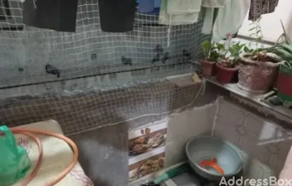 Property in Ghodasar | Ahmedabad