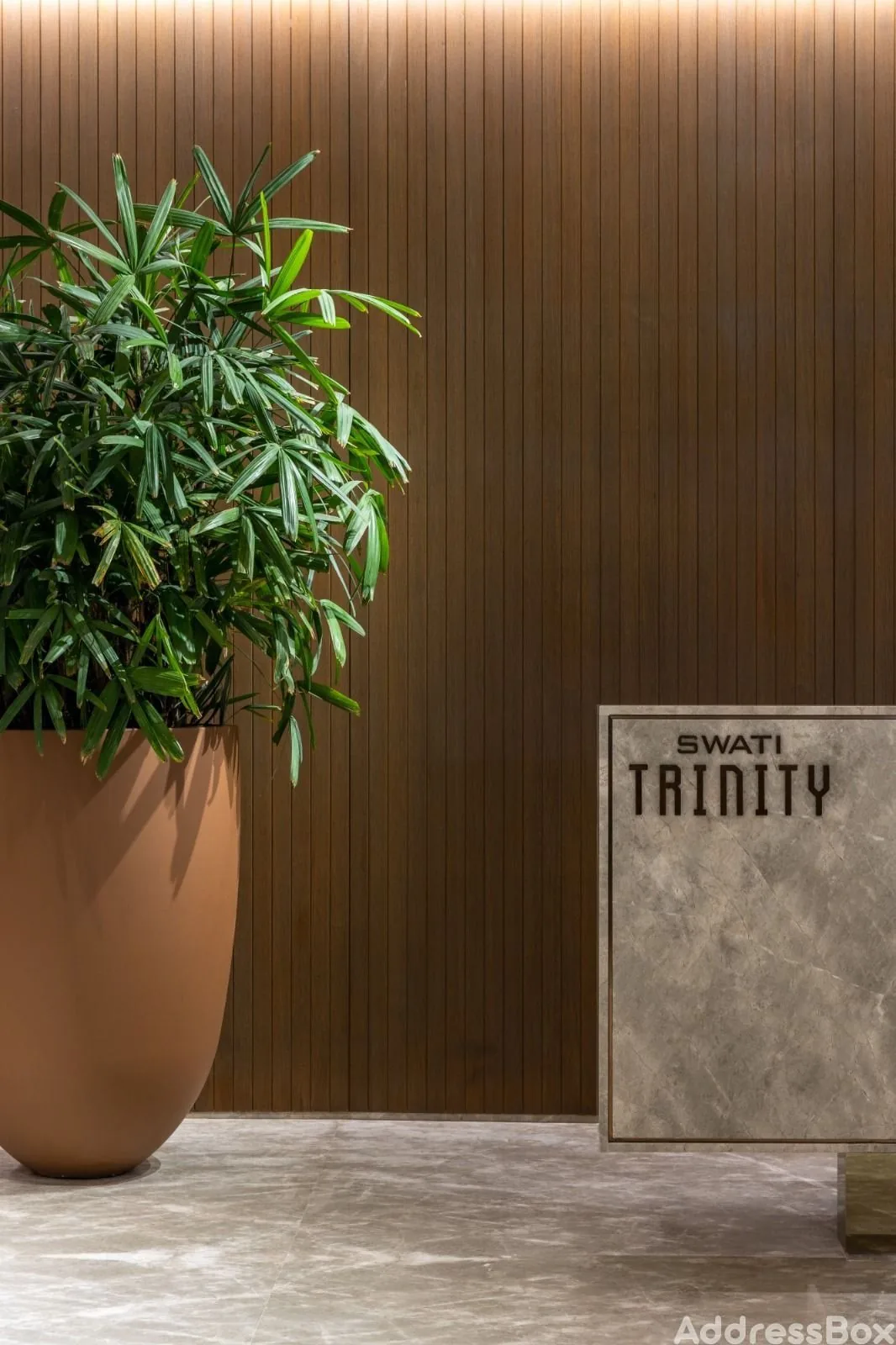 Swati Trinity photo