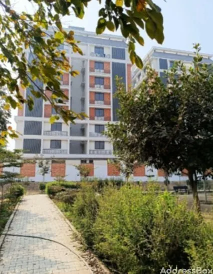 Lemon Tree Residency photo