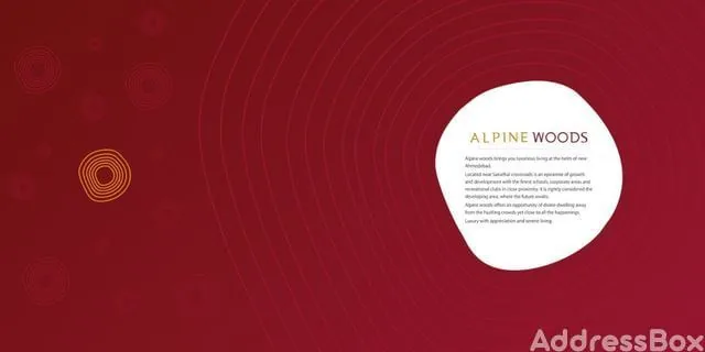 Alpine Woods photo