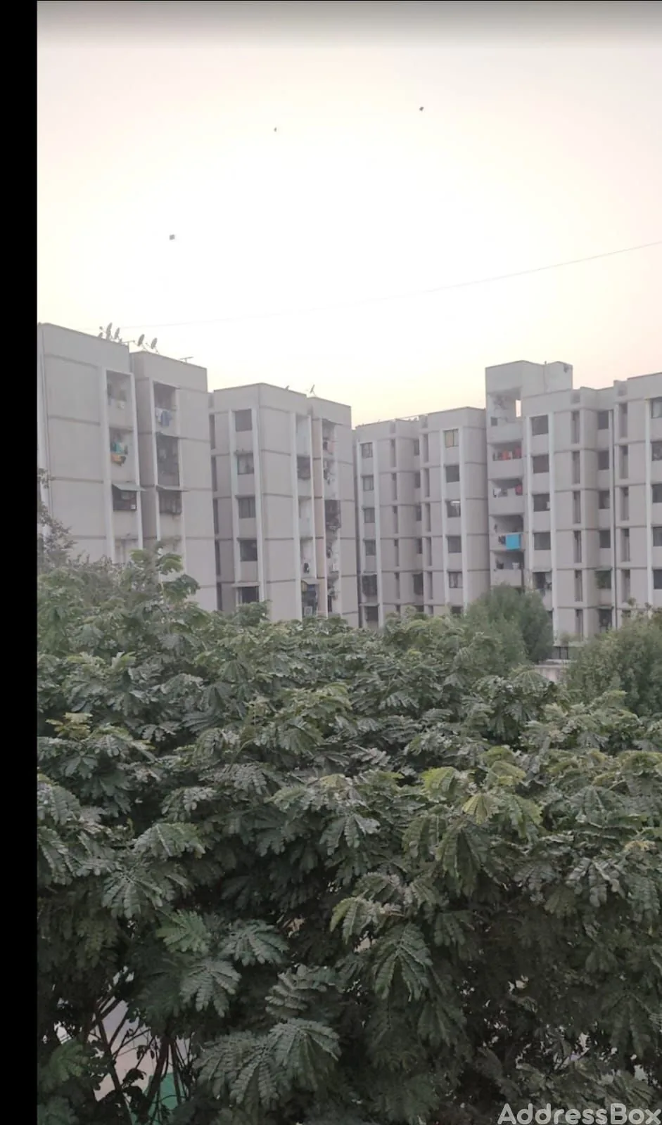 Property in Thaltej | Ahmedabad