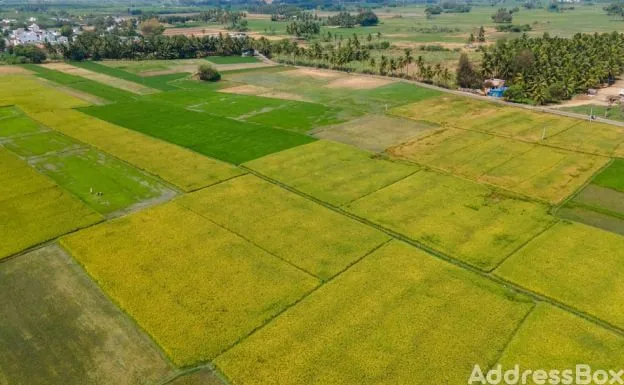 Saffron Valley The Farmland Exterior