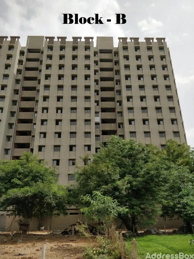 SAVVY STRATA photo