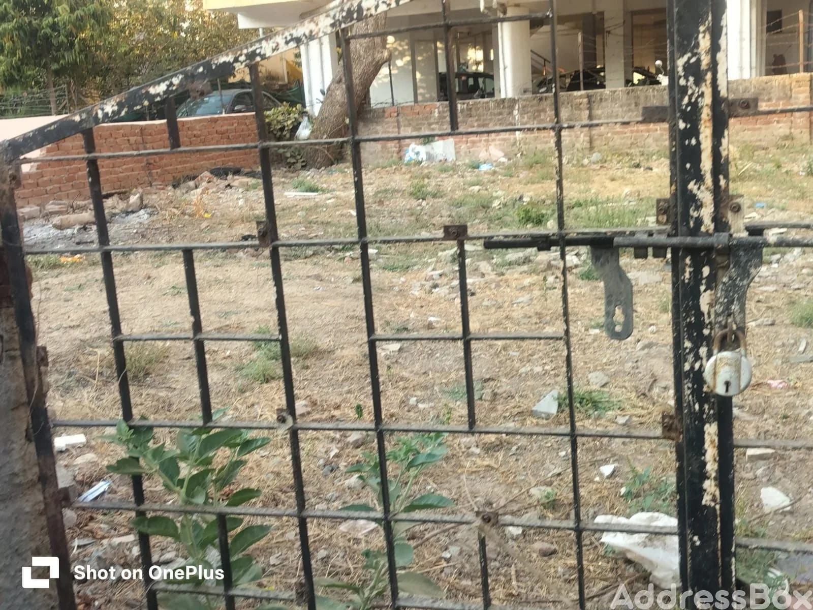 Residential Plots for sale in Ajad Society, Ambawadi, Ahmedabad