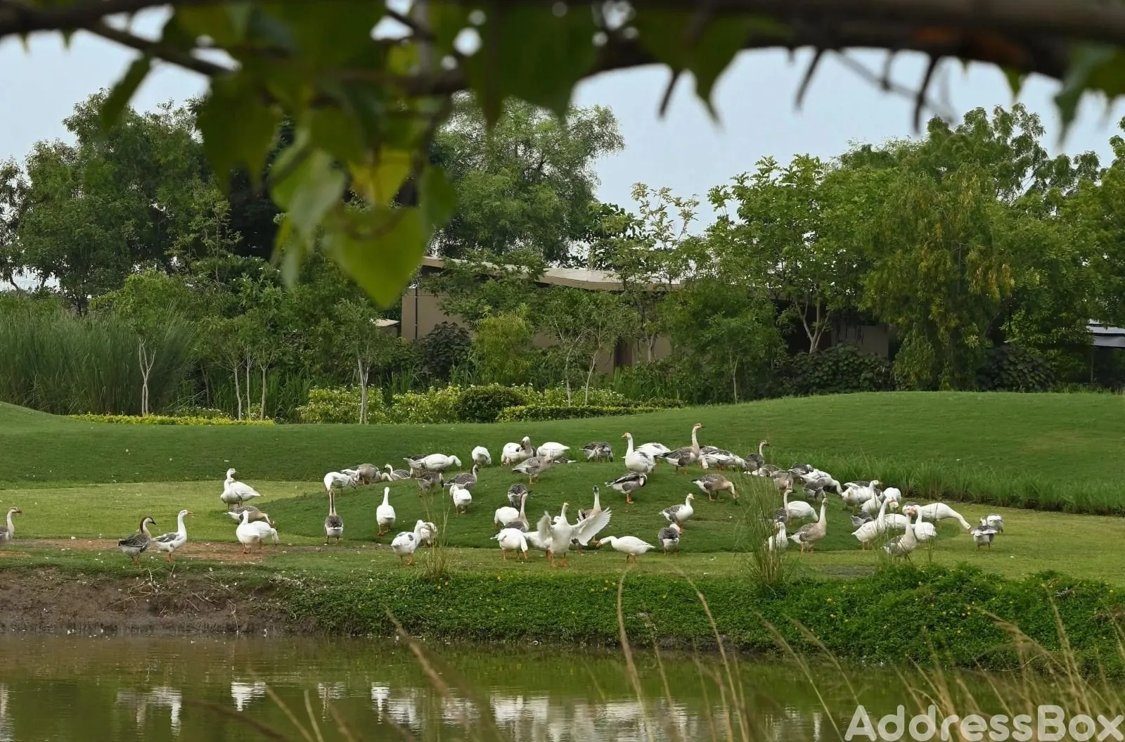 Property in Agol | Ahmedabad