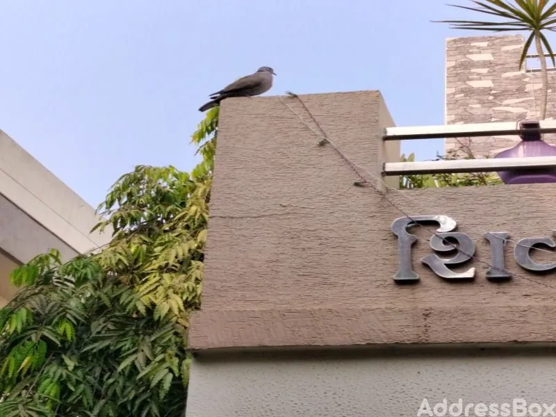 3 BHK Flats for sale in Upasana Rajbaug Society, Ghodasar, Ahmedabad