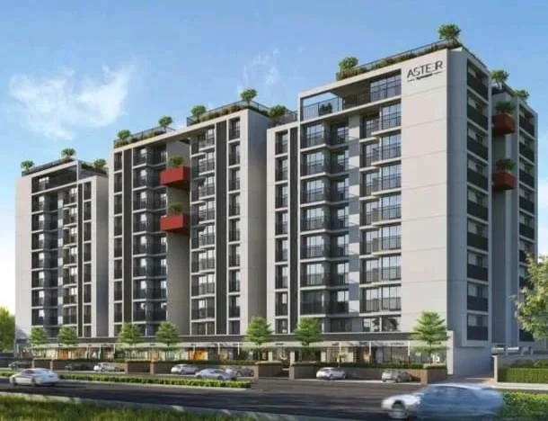 Sampad Aster - Commercial photo