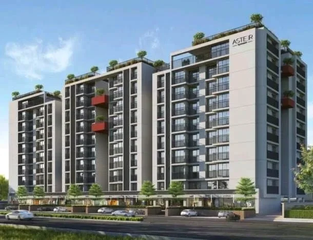 Sampad Aster - Commercial photo