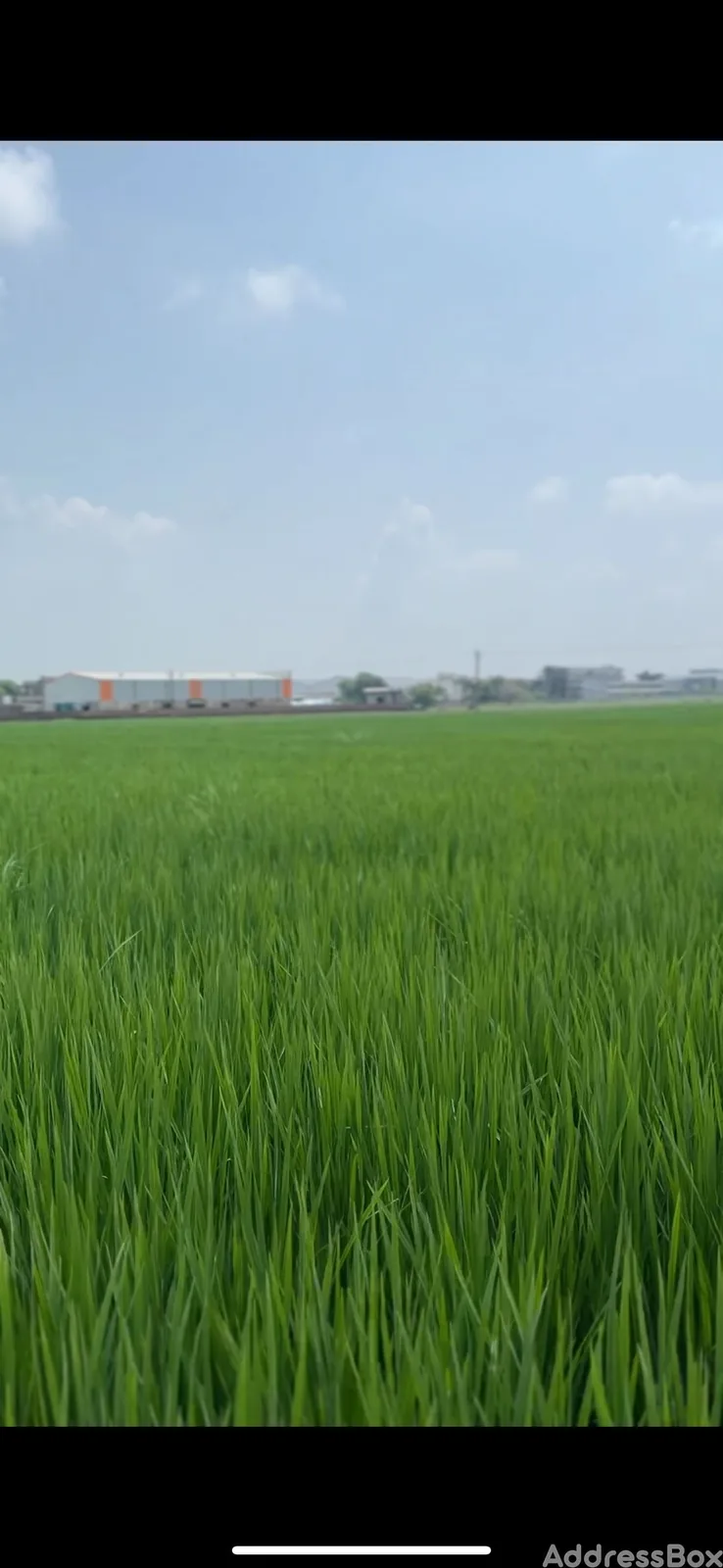 Agricultural Land for sale in Agriculture Land, Timba, Ahmedabad