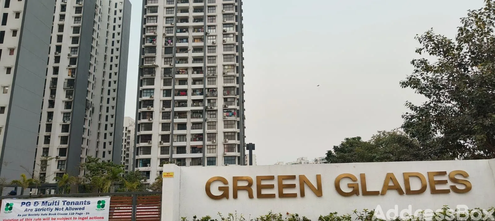 Green Glades photo