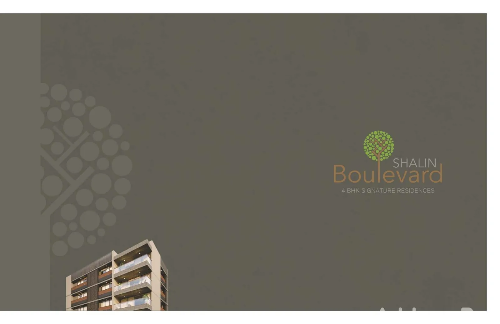 SHALIN BOULEVARD photo
