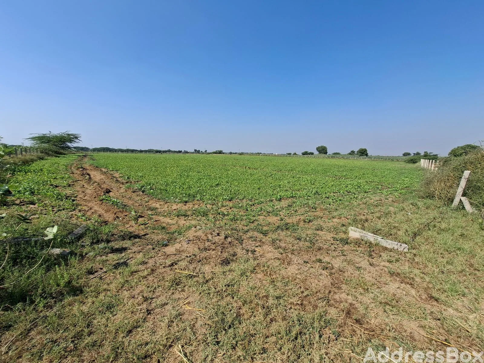 Property in Ahmedabad Baroda Highway | Ahmedabad