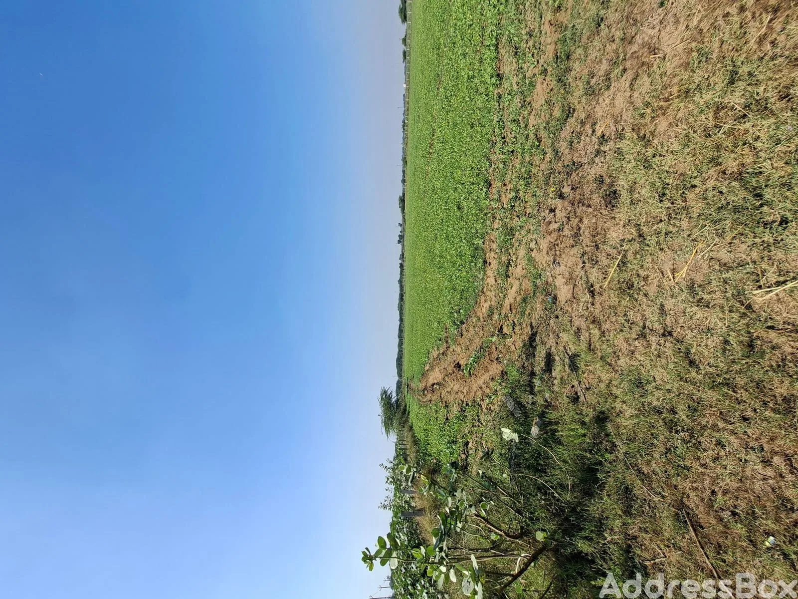 Property in Ahmedabad Baroda Highway | Ahmedabad