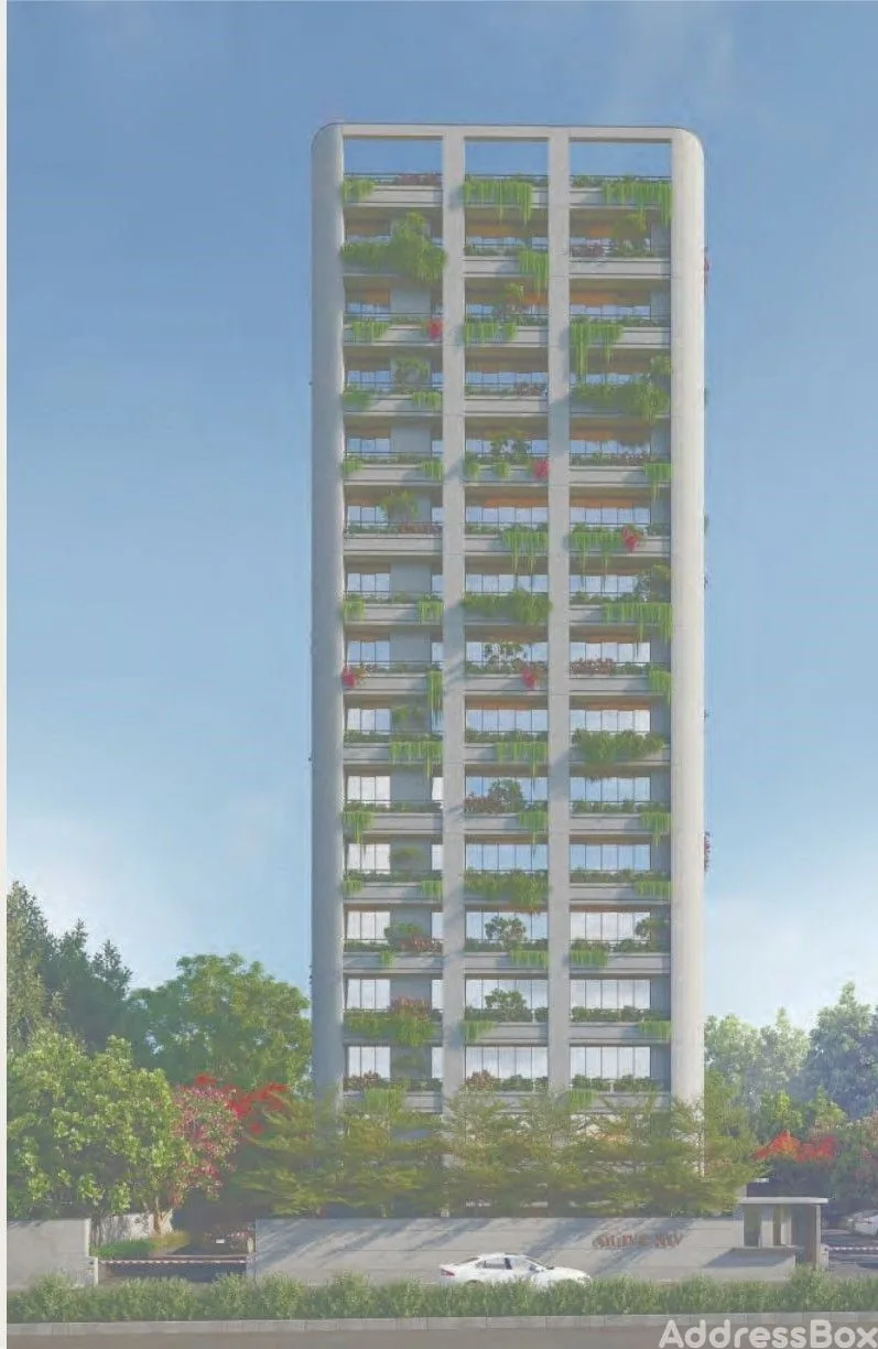 OLIVE XIV Exterior