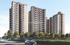 OLIVE XIV Exterior