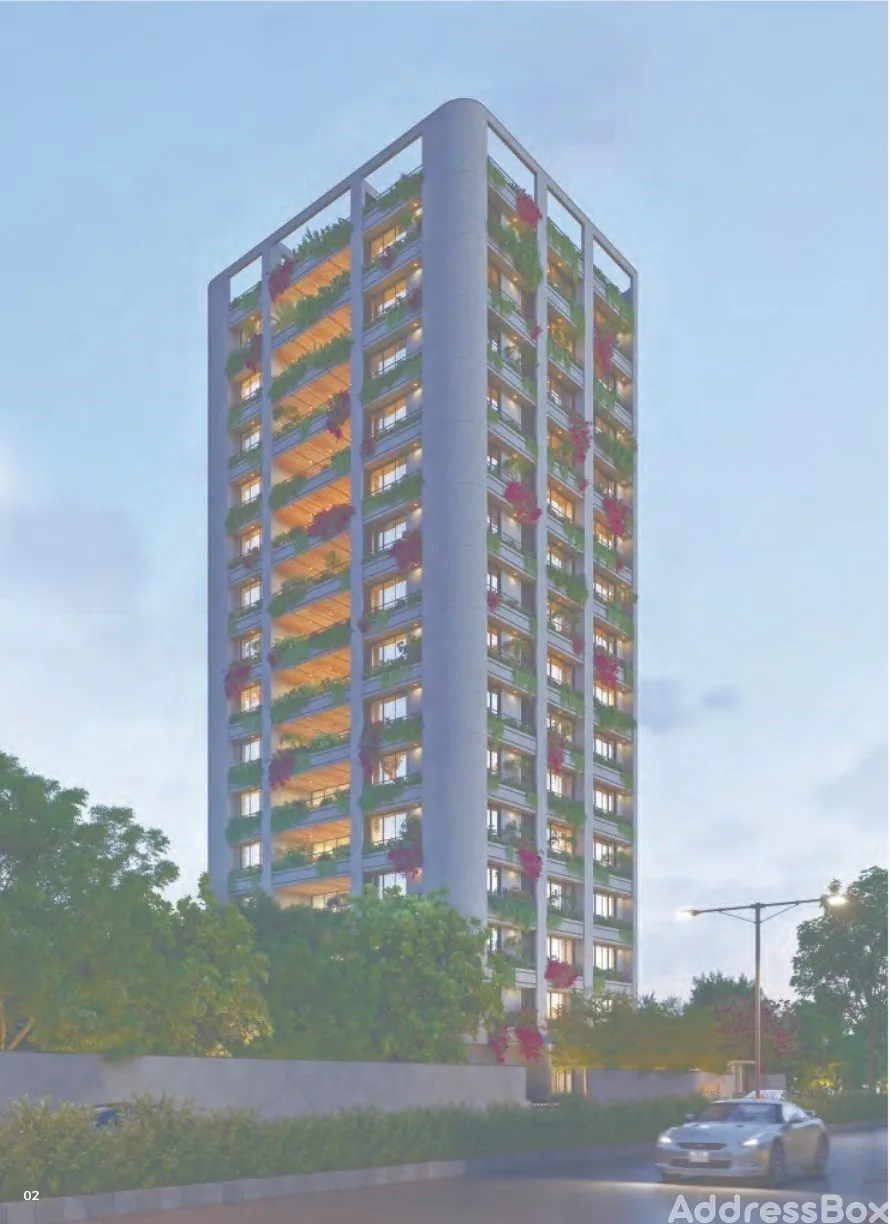 OLIVE XIV Exterior