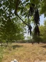 Property in Sanand | Ahmedabad